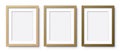 Set of vertical wooden frames with Passepartout. Royalty Free Stock Photo
