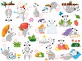 Possum clipart set