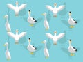 Various Domestic Ducks Pekin Call Crested Vector Seamless Background Wallpaper-01