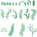 Set of decorative plants and leafs , flat design , green color collection Royalty Free Stock Photo