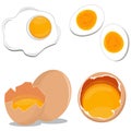 Various types of cartoon eggs