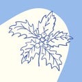 Holly leaves and berries isolated drawing symbol of new year decoration of cards and photos Royalty Free Stock Photo