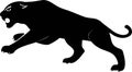 Wild panther on white background. Vector Royalty Free Stock Photo