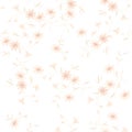 Light Peach Monotone Color Daisy Flower Pattern With White Color Background Royalty Free Stock Photo