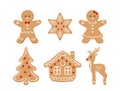 Gingerbread cookies set. Vector illustration of Christmas baking.