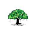 Banyan tree vector hand drawn Royalty Free Stock Photo