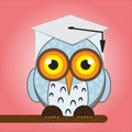 Owl mascot wearing an undergraduate school hat Royalty Free Stock Photo