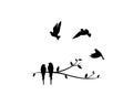 Birds couple silhouette on a branch and flying birds flock, vector. Birds in love, illustration. Wall decals, art decoration