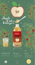 Apple cider vinegar in glass of fresh water, Himalayan salt, chia seed and lemon, info graphic food, Flat design