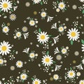Seamless daisy floral pattern, Beautiful daisy floral, bloomy plant grass decor, illustration , Vector