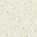 Seamless daisy floral pattern, Beautiful daisy floral, bloomy plant grass decor, illustration, Vector