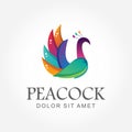 Awesome colorful gradient peacock logo design beautiful bird vector ready to use