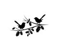 Birds Couple Silhouette on Branch Vector, Birds in love Silhouette, Wall Decals, Couple of Birds in Love, Art Decoration Royalty Free Stock Photo