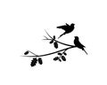 Birds Couple Silhouette on Branch Vector, Birds in love Silhouette, Wall Decals, Couple of Birds in Love, Art Decoration Royalty Free Stock Photo