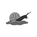 Snail snail animal logo