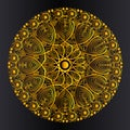 Luxurious golden geometric line art mandala