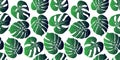 Monstera tropical leaf vector illustration. Seamless pattern Royalty Free Stock Photo