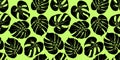 Monstera tropical leaf vector illustration. Seamless pattern Royalty Free Stock Photo