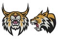 Bobcat Lynx Wildcat Angry Roaring Logo Sports Mascot Vector Illustration Set Premium Pack Collection