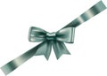 Green bow and the tape isolated on the white background. Royalty Free Stock Photo