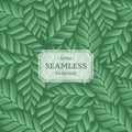 Abstract herbal seamless pattern. Organic product label template.