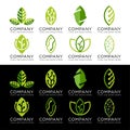 Set of Green leaf technology logo design, Eco Tech Royalty Free Stock Photo