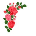Pink and red roses angled frame. Vector floral corner, border. Royalty Free Stock Photo