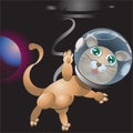 Cat in Outer Space Cartoon Character Royalty Free Stock Photo