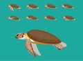 Animal Animation Sequence Green Sea Turtle Cartoon Vector