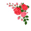 Bouquet of pink and red roses. Corner element for decoration of greeting card, banner. Royalty Free Stock Photo