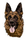German shepherd dog vector Illustration Royalty Free Stock Photo