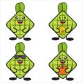 mascot ketupat vector collection design