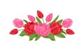 Tulips bouquet isolated on white background. Fresh spring red and pink flowers and green leaves. Royalty Free Stock Photo