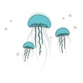 Blue jellyfish on white background. Detailed cartoon sea jelly. Vector illustration