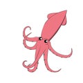 Pink cute squid.Illustration of squid. Royalty Free Stock Photo