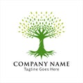 Tree of Life,  banyan leaf and root logo design inspiration Royalty Free Stock Photo