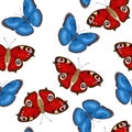 Blue and red butterflies fly seamless pattern. Background with beautiful insects. Royalty Free Stock Photo