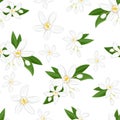 Seamless pattern with orange flowers. Blooming neroli. Floral background.