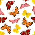 Multicolored cartoon butterflies seamless pattern. Vector spring flat illustration. Natural background