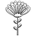 Black and white childish cute single stylized flower chamomile or chrysanthemum in Scandinavian style. Isolated outline cartoon fl Royalty Free Stock Photo