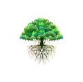 Printable banyan tree image