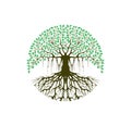 Printable banyan tree image vector isolated