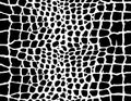 Seamless texture of snake, reptile, crocodile. repeating black and white