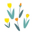 Set of hand drawn vector yellow tulip flower, spring collection. illustration for sticker, label, tag, gift wrapping paper Royalty Free Stock Photo