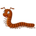 Cartoon funny millipede on white background Royalty Free Stock Photo