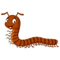 Cartoon funny millipede on white background