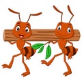 Team of ants carrying a log