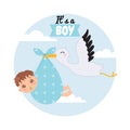 Cute baby with pacifier are being carried by a stork. Baby shower illustration card.