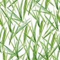 Vector seamless pattern with watercolor green grass. A repeating background with the green leaves Royalty Free Stock Photo