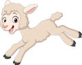 Cartoon baby lamb jumping on white background